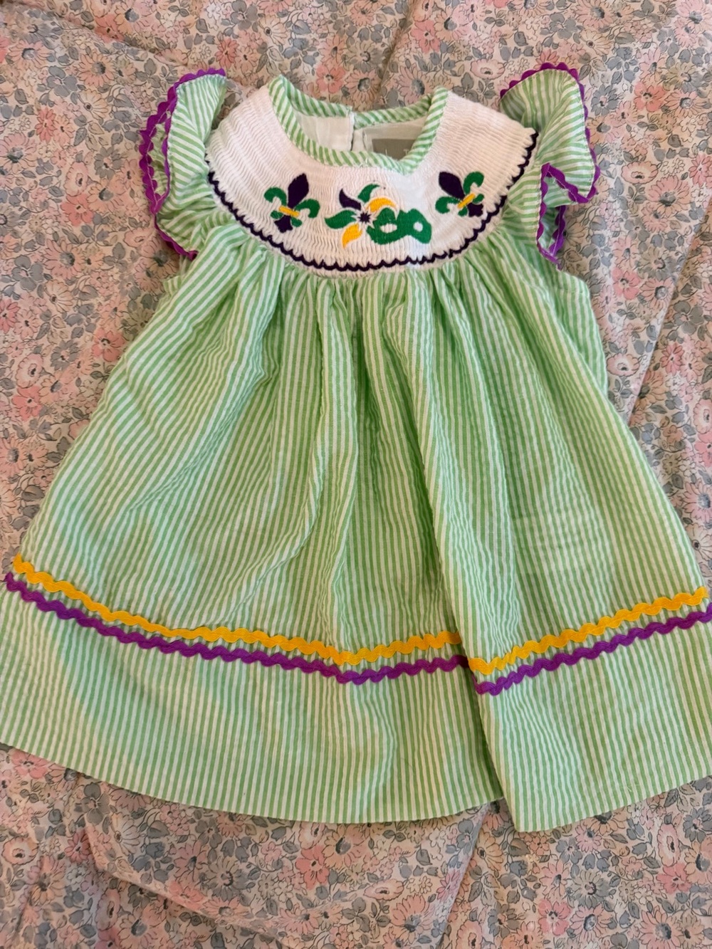Mardi Gras Girls' Green Striped Smocked Dress with Fleur-de-lis Embroidery